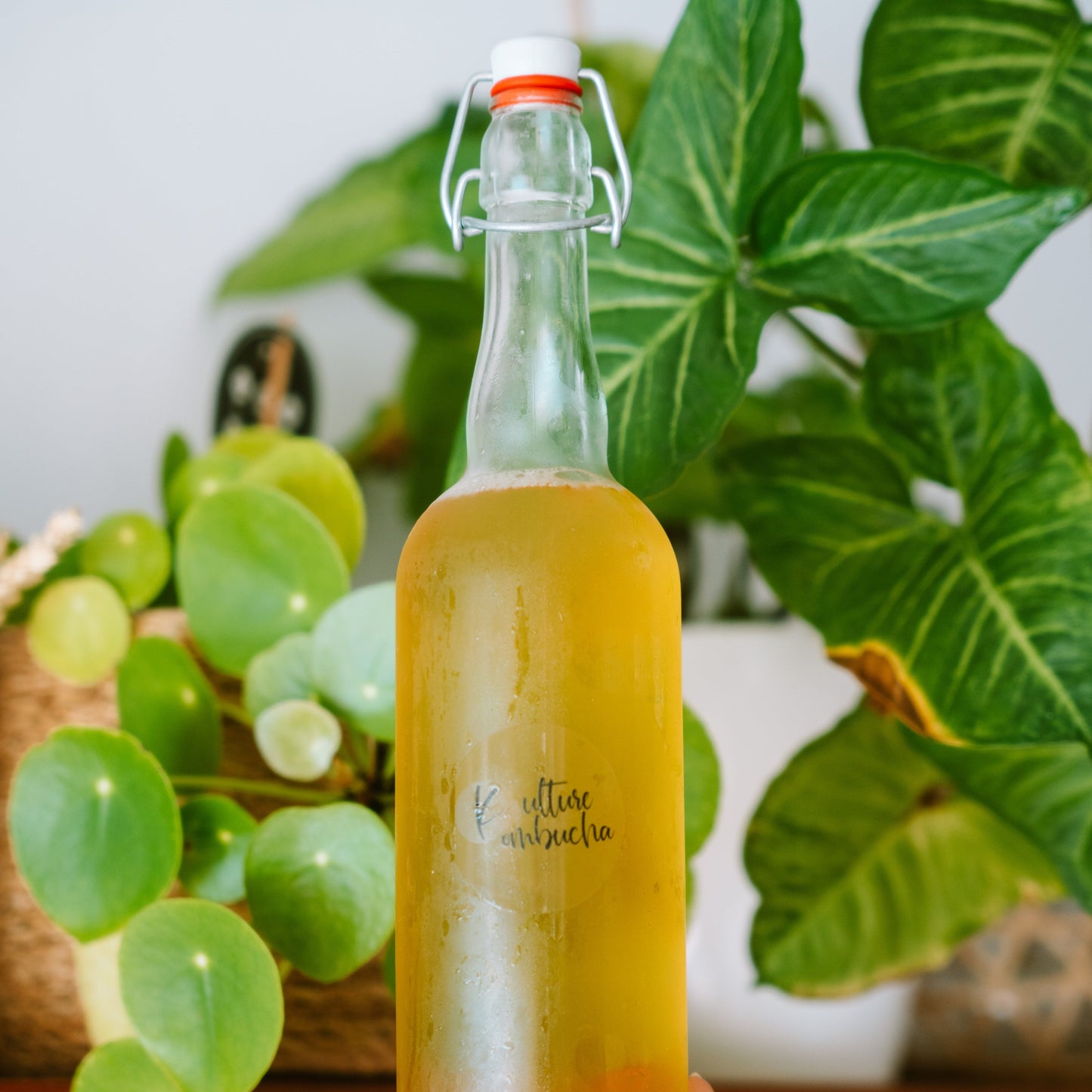 Kulture Kombucha